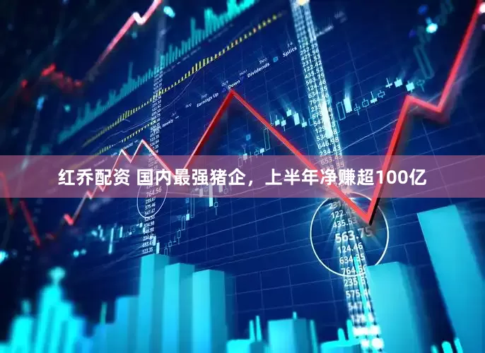 红乔配资 国内最强猪企，上半年净赚超100亿