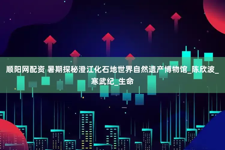 顺阳网配资 暑期探秘澄江化石地世界自然遗产博物馆_陈欣波_寒武纪_生命