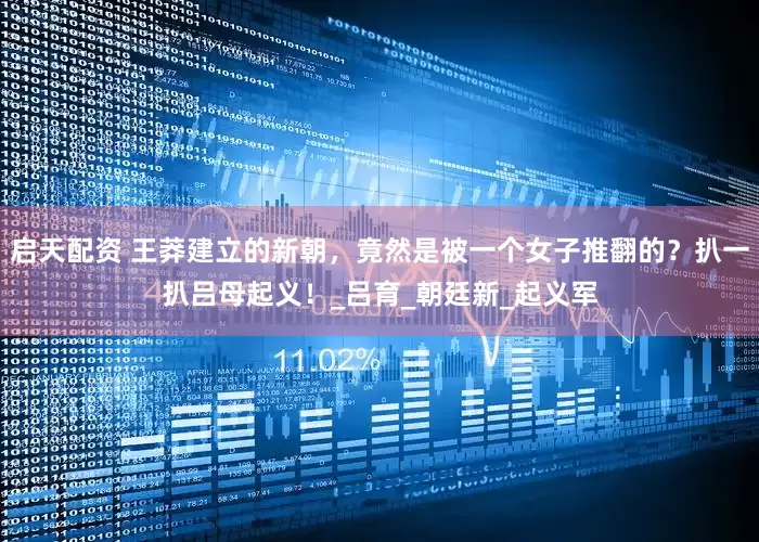 启天配资 王莽建立的新朝，竟然是被一个女子推翻的？扒一扒吕母起义！_吕育_朝廷新_起义军