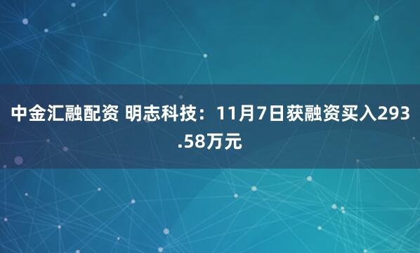 中金汇融配资 明志科技：11月7日获融资买入293.58万元